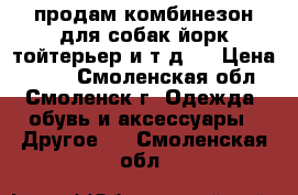 продам комбинезон для собак(йорк,тойтерьер и т.д.) › Цена ­ 500 - Смоленская обл., Смоленск г. Одежда, обувь и аксессуары » Другое   . Смоленская обл.